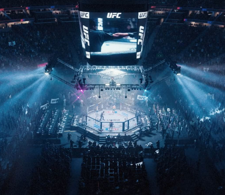 Pronostic UFC Paris Imavov vs Borralho